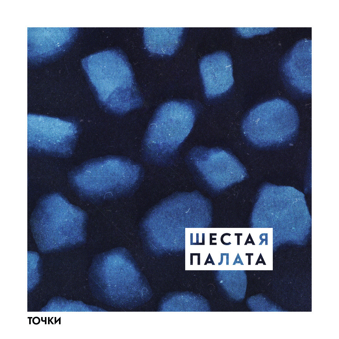 Шестая Палата. Точки