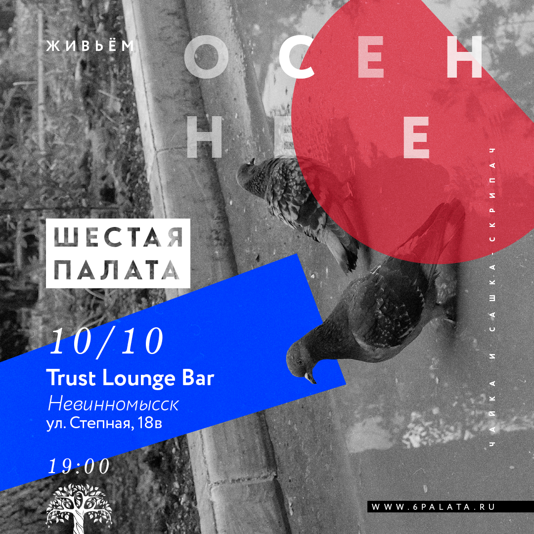 Шестая Палата. Осеннее. Невинномысск. 10.10.20.20.